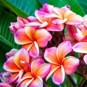 Meet your Posher, Kaytlyn